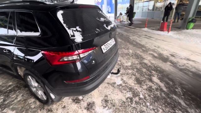 Школа Кодиак