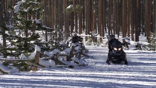 BRP Ski Doo 2017 Ski Doo Lineup смотреть онлайн