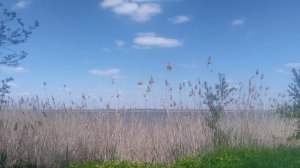 VID_20250427_134644.mp4