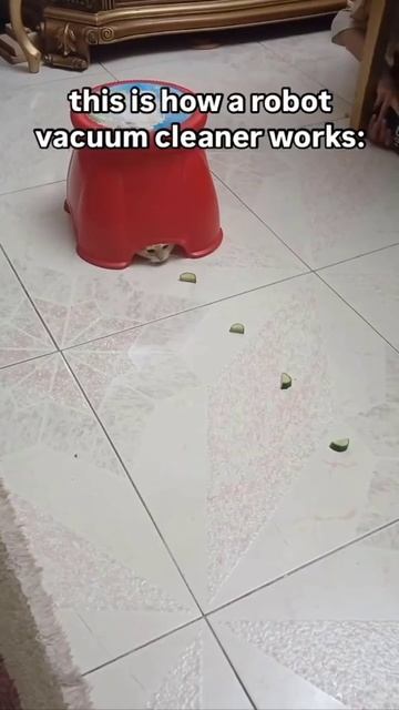 робот-пылесос смотреть онлайн