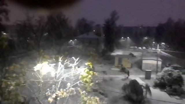 Снежок 😜 смотреть онлайн