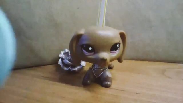 LPSклип ,,я верю в мечту,,