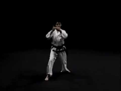 Гэ Бэк видео тхэквондо туль Черный пояс 1 Дан хьенг 44 движений комплекс Ge Beak Tul вид сзади спорт смотреть онлайн