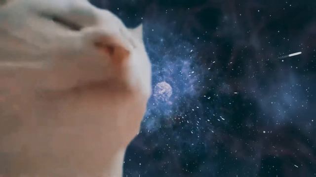 моя шиза .mp3