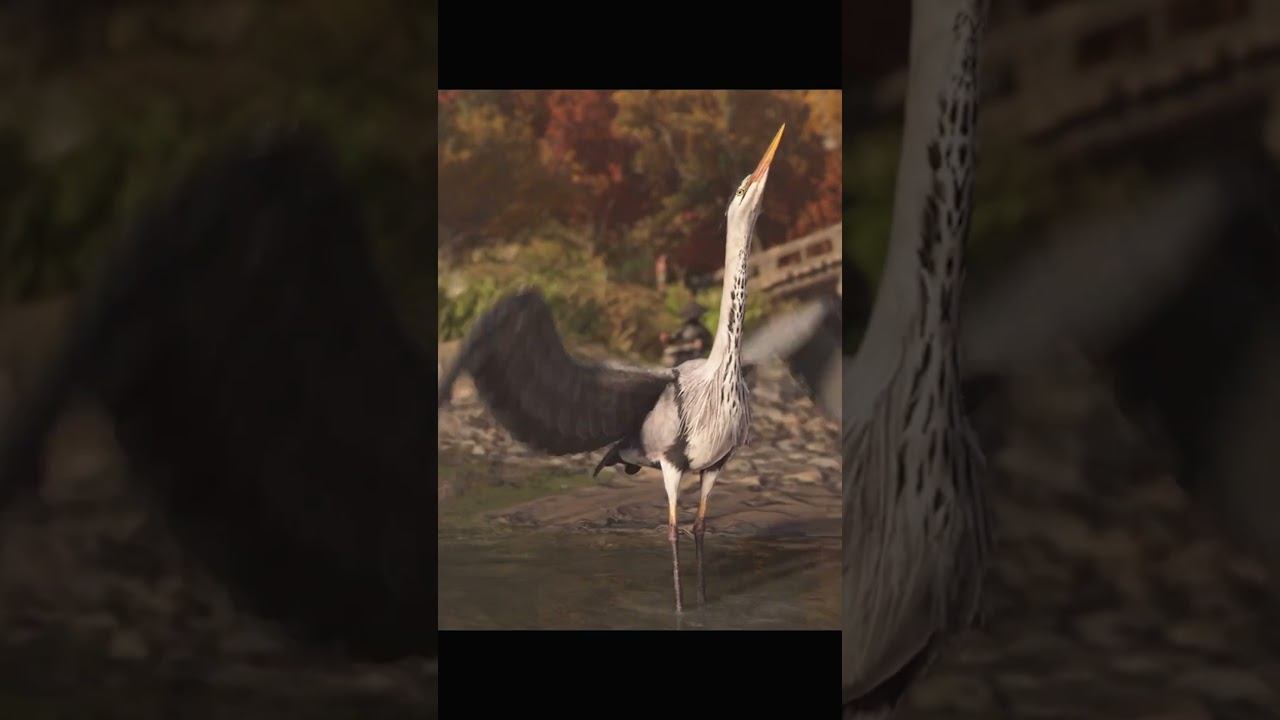 В мире животных | Animal Planet | Assassin's Creed Shadows #shorts #вмиреживотных смотреть онлайн