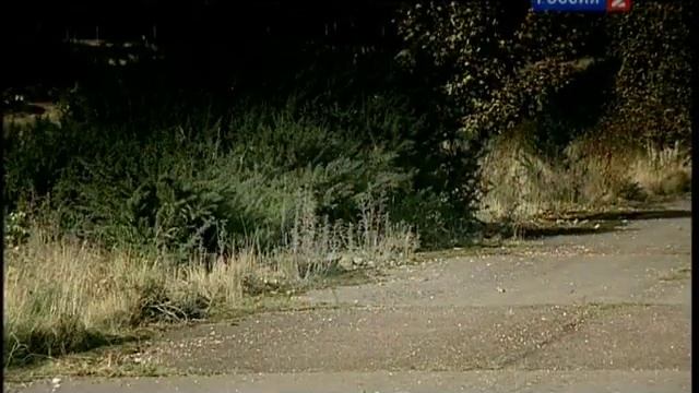 Джереми Восхваляет ЗАЗ запорожец в ТОП ГИР смотреть онлайн