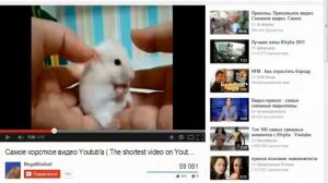 Скачивание видео с ютуба