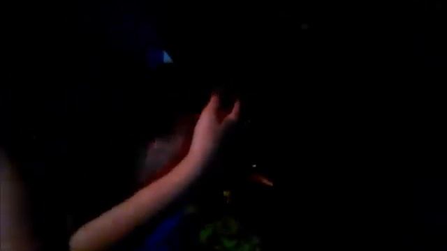 Домашний зоопарк |обзор животных|