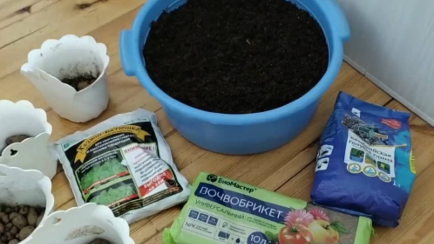 Чего не сделаешь для любимых цветов_ Приготовила грунт из почва брикета и рассадила Лобелии смотреть онлайн