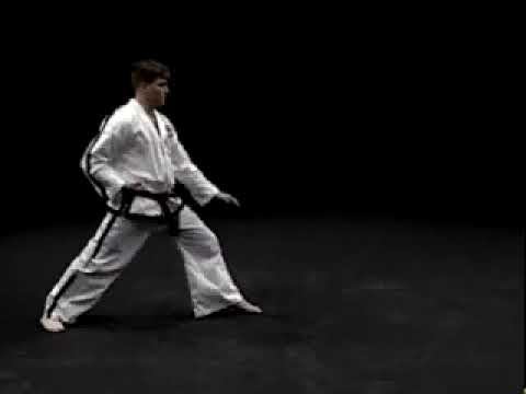 Саджу Макги видео тхэквондо туль белый пояс 2 комплекс, 10(3) гып, хьенг Saju Makgi вид сзади спорт смотреть онлайн