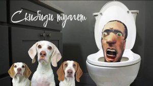 Собачки против скибиди туалет