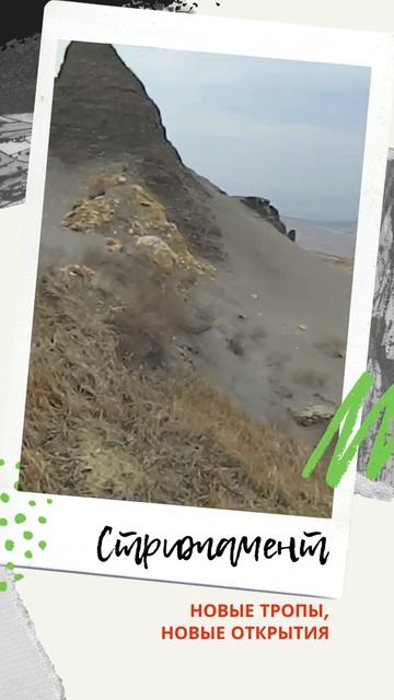 Стрижамент с другой стороны.