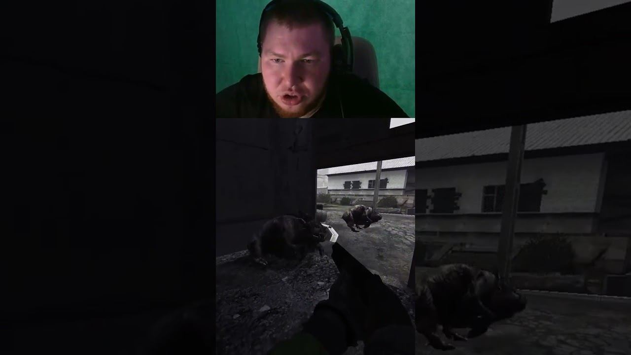 Перегон скота | toporplay с помощью #Twitch смотреть онлайн