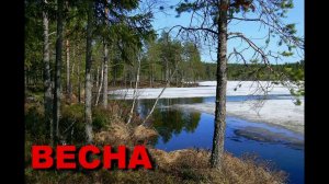 Времена года для детей (Весна)