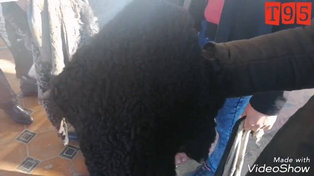 Сандик ва сур дери бозори смотреть онлайн