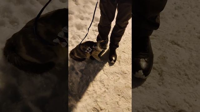 Виктория показывает Бусе снег