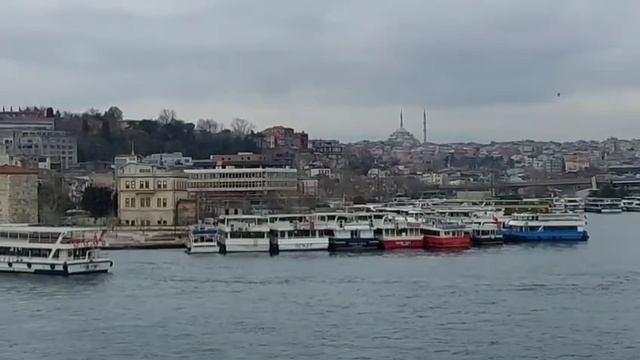 Арабские песни смотреть онлайн