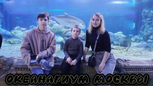Посетили океанариум в Москве