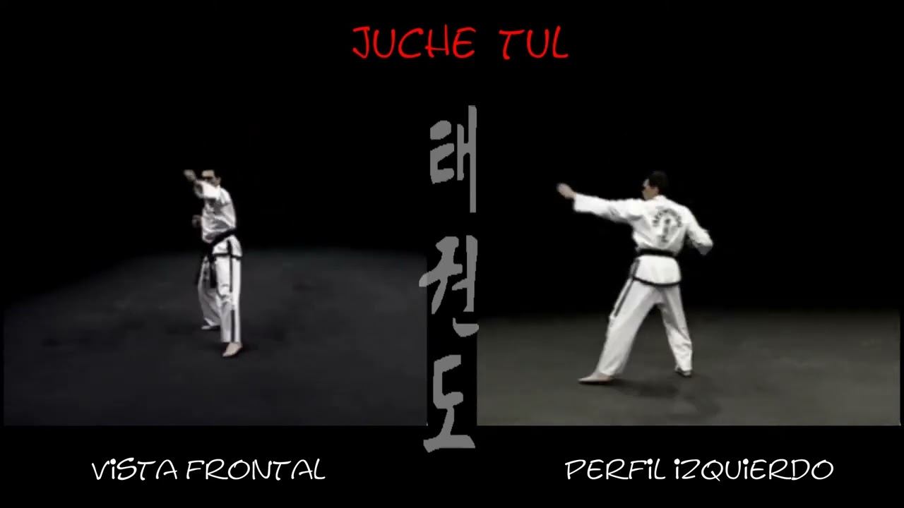 Чучхе видео тхэквондо туль Черный пояс 2 Дан хьенг 45 движений комплекс Juche Tul спорт Чу че Кодан смотреть онлайн