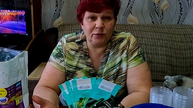 Кабачки или Цукини?! В чём отличие!! Посадим - узнаем! смотреть онлайн