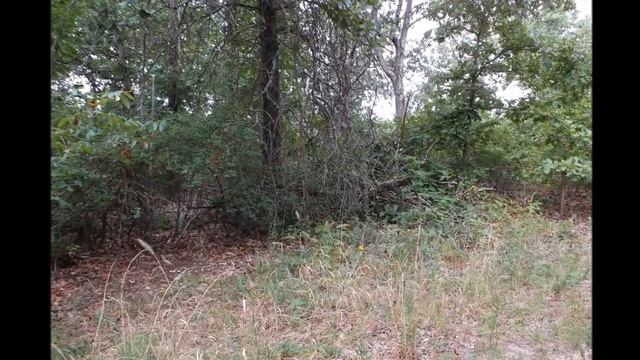 Homestead 2