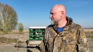 Гонка спортивных голубей