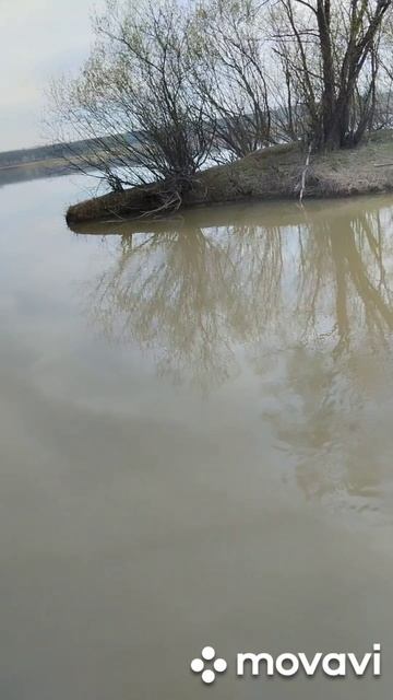 порыбачил с утречка