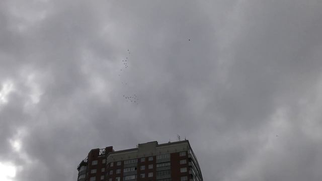 2017 09 27 120404 ВЫПУСК ДЕРИШЕЙ 27 09 17г смотреть онлайн