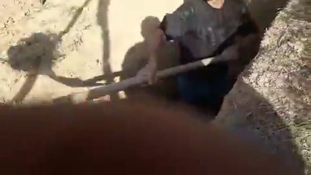 Кабр кани смотреть онлайн