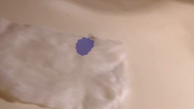 #2 лучшие сёстры теле программа