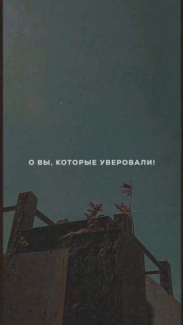 Воистину Аллах - с терпеливыми. Махди аш-Шишани