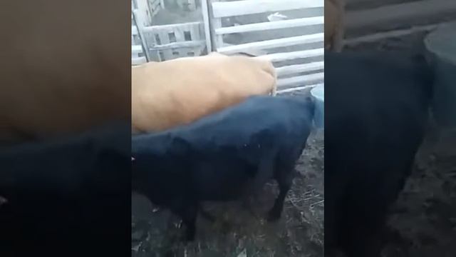 14 июня 2018 г.