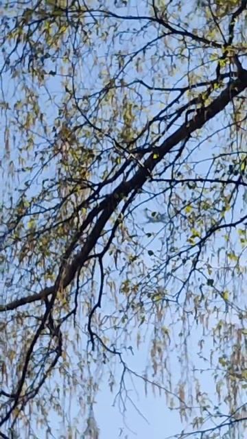 Самолёт над селом Исады смотреть онлайн