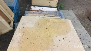 Что в нутри пакета из Узбекистана.