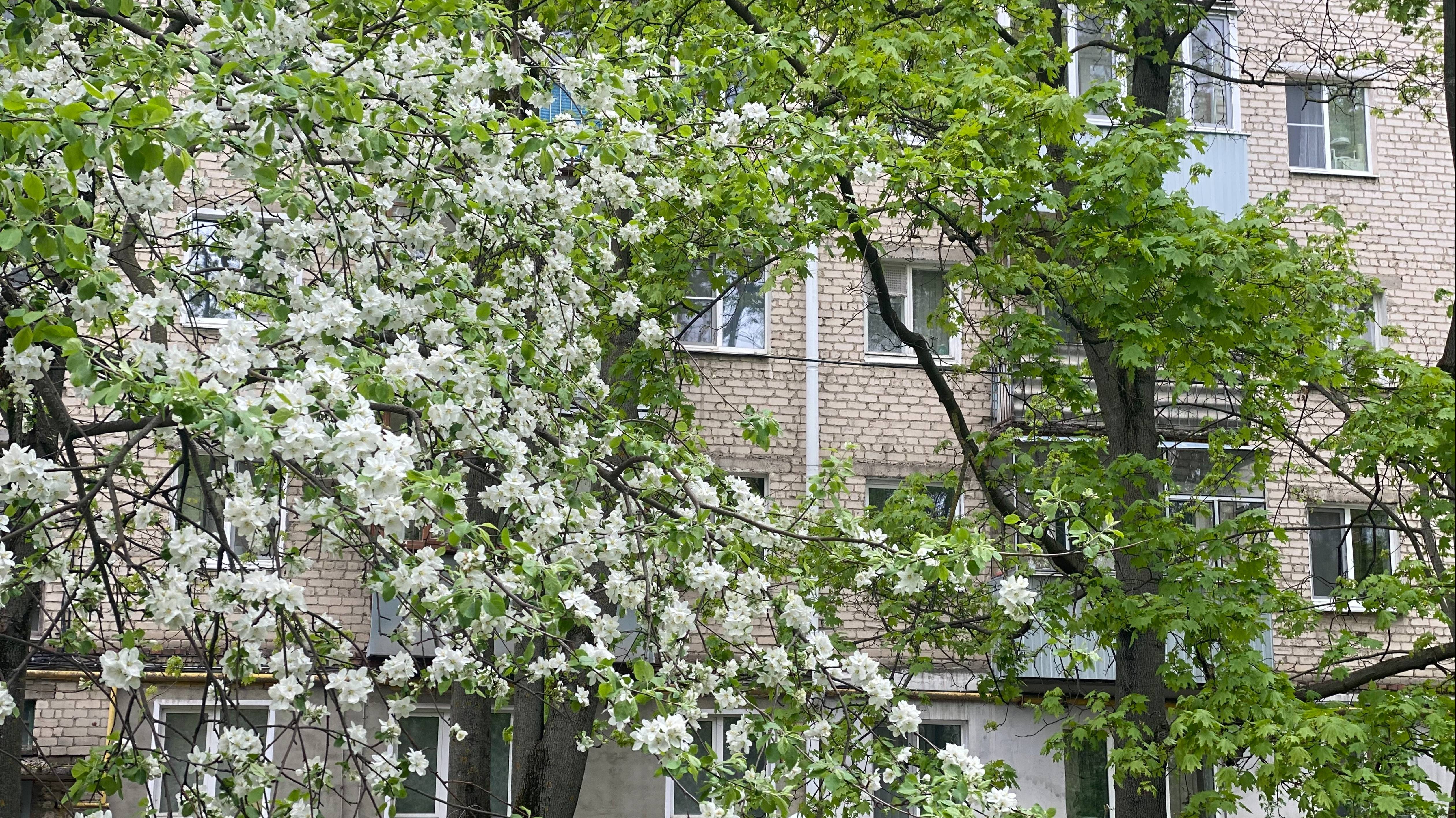 3-комнатная квартира на Луначарского,38А