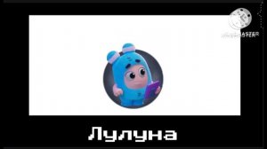 Чуддики + ШИЗА =