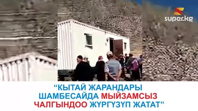 Интернетте кытайларды союп салабыз деген видео тарады смотреть онлайн