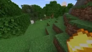 МАЙНКРАФТ МЕМ 8 800 555 35 35