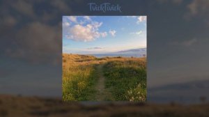 🌻Плейлист Для Прогулки Летом🌻 Летний Вайб🌻 Плейлист Из Песен Подписчиков🌻 Летние песни🌻 Тик Ток🌻