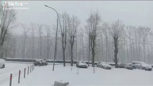 28 апреля 2025 года почти лето.