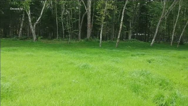 В летнем парке. Южно-Сахалинск .mp4