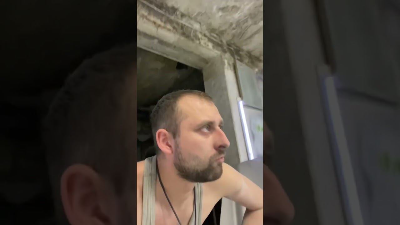 Не пыли не мухи  #pankov #automobile #pankrat