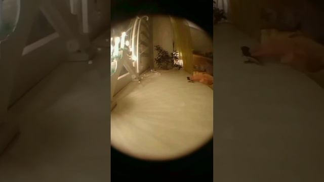 Новогодний эдит на фингерборде смотреть онлайн