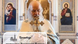 Проповедь протоиерея Владимира Волгина — Неделя 2-я по Пасхе, апостола Фомы́. Антипасха.(28.04.2025)