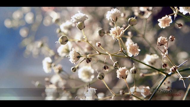 Four Tet - Hands [HD] смотреть онлайн