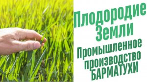 Промышленное производство удобрений.