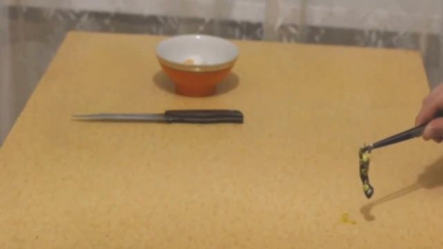 Говорящий Гомункул или как гомункул плюнул