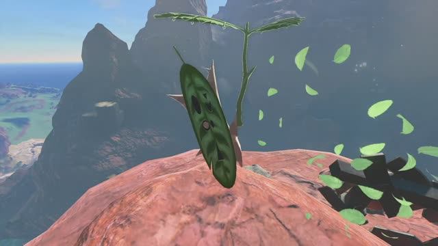 Корок на скале