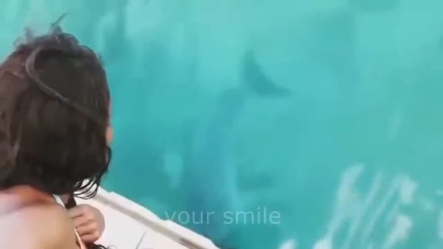 ЛУЧШИЕ ПРИКОЛЫ Июль 2016 ТЕСТ НА ПСИХИКУ #208 смотреть онлайн