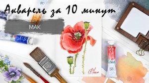 Рисуем акварелью за 15 минут - алый мак. Быстрые зарисовки. Акварель для новичков